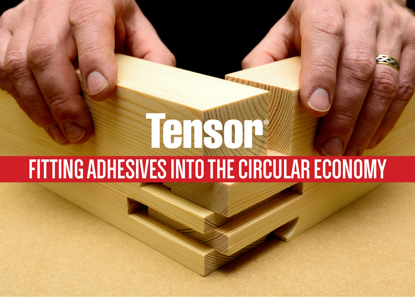 Joinery Adhesives Towards a Circular Economy